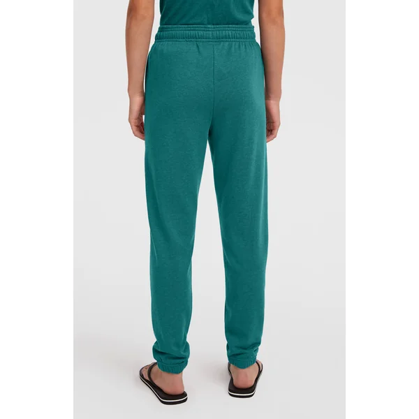 Pantalon de survêtement Essentials Script | Botanical Heat