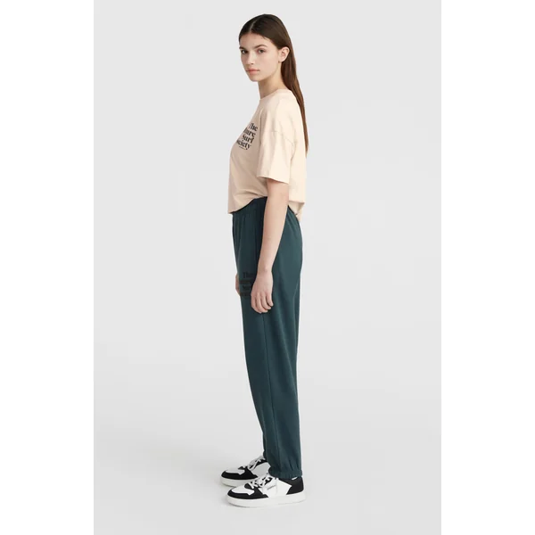 Pantalon de survêtement Future Surf Society | Alma Steel