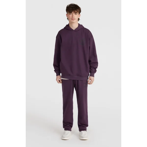 Pantalon de survêtement Future Surf Society | Aubergine