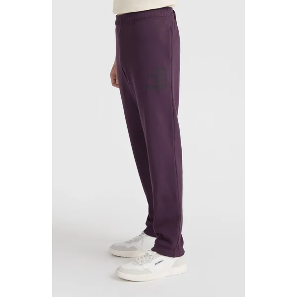 Pantalon de survêtement Future Surf Society | Aubergine