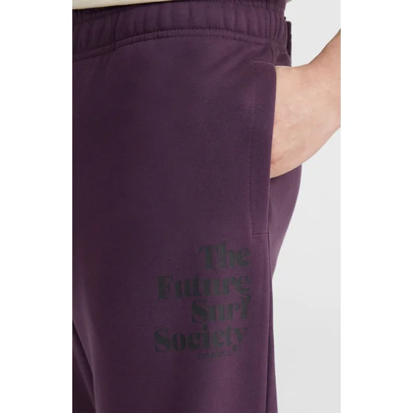 Pantalon de survêtement Future Surf Society | Aubergine