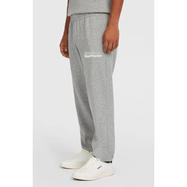Pantalon de survêtement Future Surf Society | Silver Melee