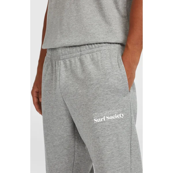 Pantalon de survêtement Future Surf Society | Silver Melee