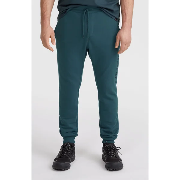 Pantalon de survêtement Logo | Alma Steel