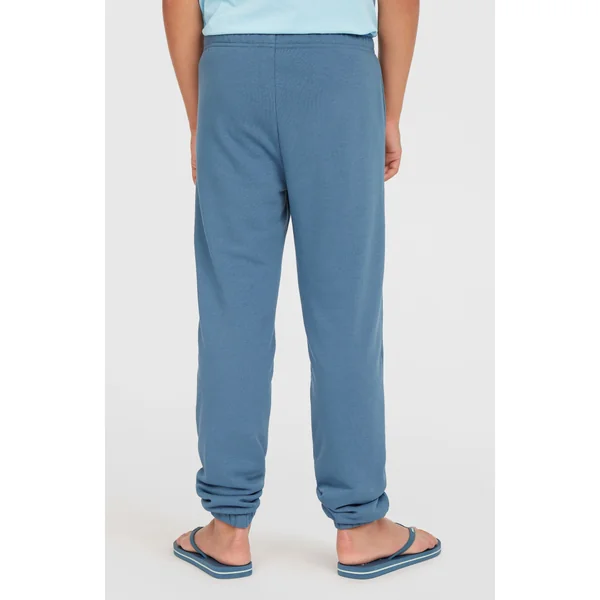 Pantalon de survêtement Logo | Copen Blue