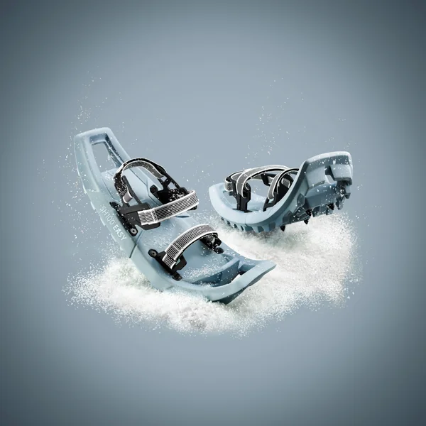 Raquettes à neige moyenne tamis - Quechua EASY SH100 MOUNTAIN - M