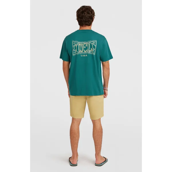 Short chino Essentials | Oak Ridge