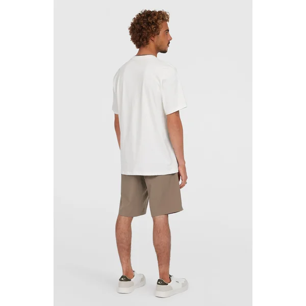 Short chino Hybrid 19 | Pure Cashmere