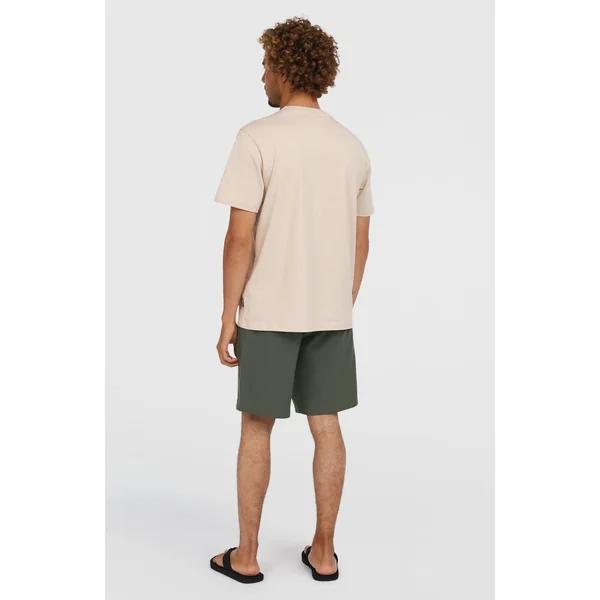 Short chino Hybrid 19 | Raven