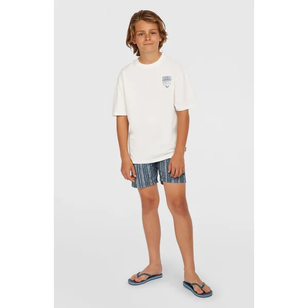 Short de bain Cali 14'' | Blue Pressed Lines