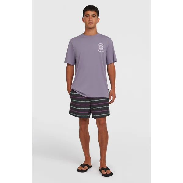 Short de bain Cali First 15'' | Black/Purple O'Neill Stripe