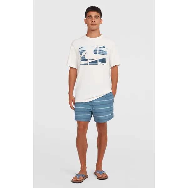 Short de bain Cali First 15'' | Blue O'Neill Stripe