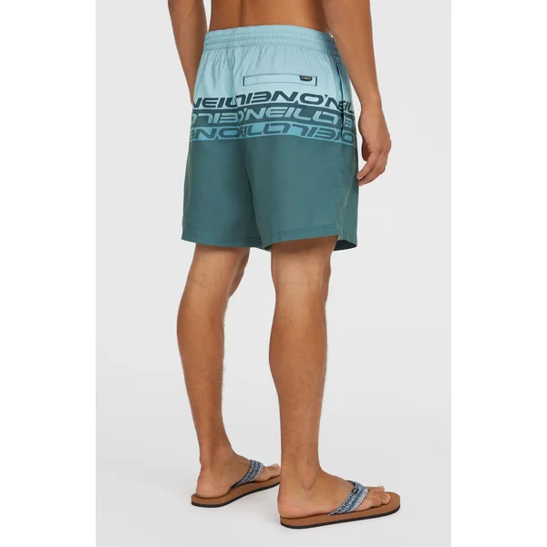 Short de bain Cali Stripe 16 | Blue Upside Down