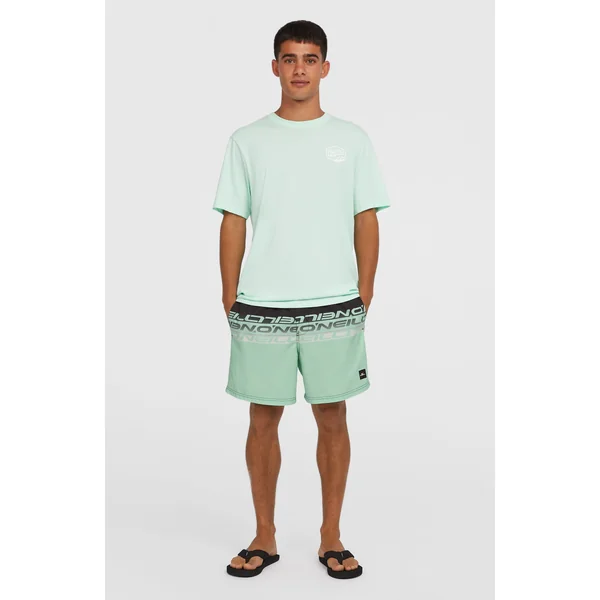 Short de bain Cali Stripe 16 | Green/Black Upside Down Clean