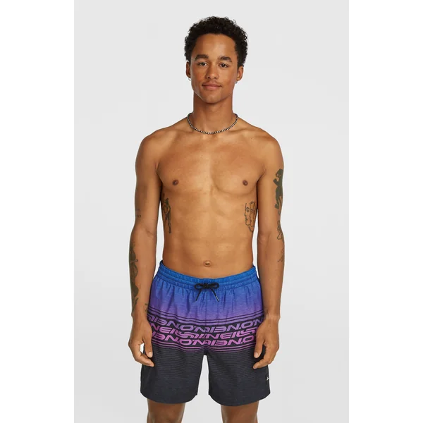 Short de bain Logo Stripe 16'' | Blue Heritage O'Neill Stripe