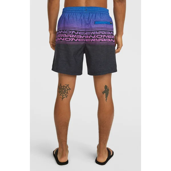 Short de bain Logo Stripe 16'' | Blue Heritage O'Neill Stripe