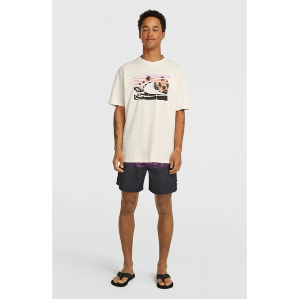 Short de bain Logo Stripe 16'' | Blue Heritage O'Neill Stripe