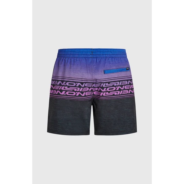 Short de bain Logo Stripe 16'' | Blue Heritage O'Neill Stripe