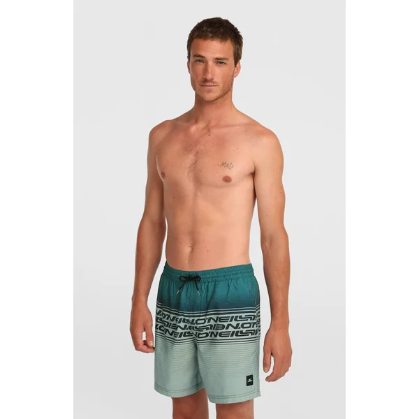 Short de bain Logo Stripe 16'' | Green Heritage Stripe