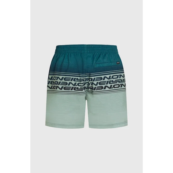 Short de bain Logo Stripe 16'' | Green Heritage Stripe