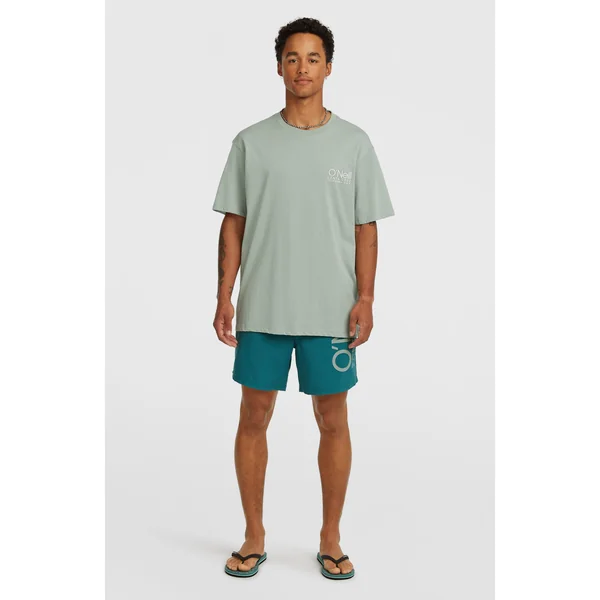 Short de bain O'Neill Cali 16'' | Botanical Heat