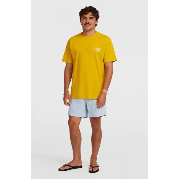 Short de bain O'Neill Cali 16'' | Spindle