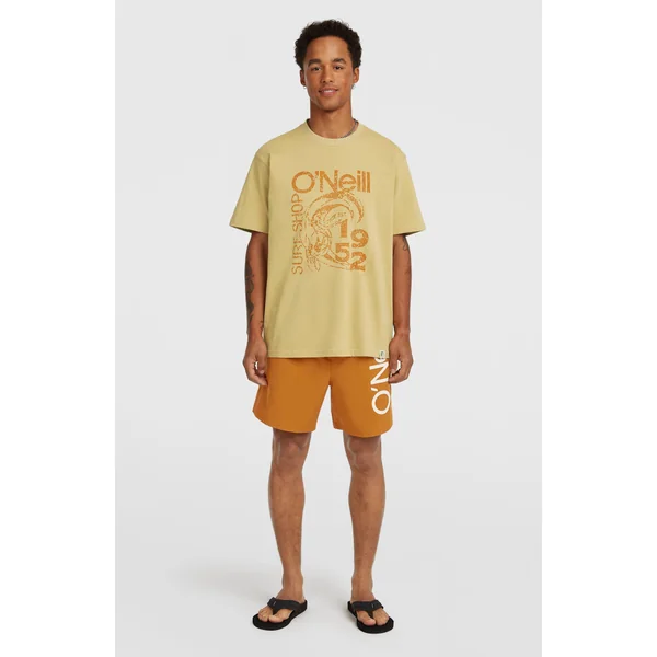 Short de bain O'Neill Cali 16'' | Tandoori