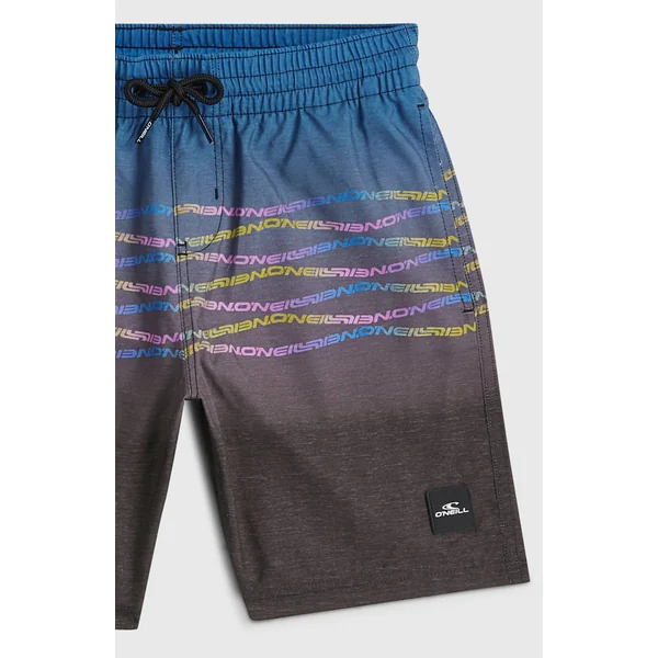 Short de bain O'Neill First | Boys Blue Heritage Flip