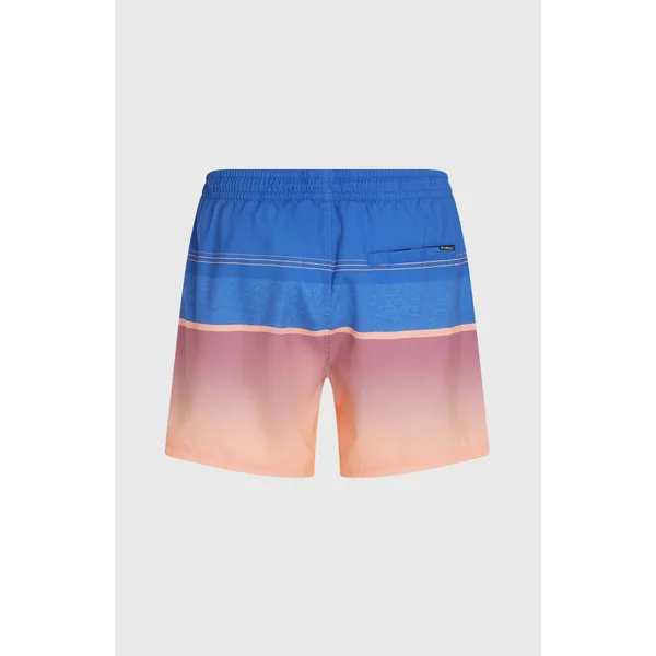 Short de bain O'Neill Gradient 15 | Blue Gradient Stripe