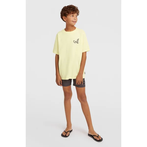 Short de bain O'Neill Logo Stripe | Boys Blue Heritage O'Neill