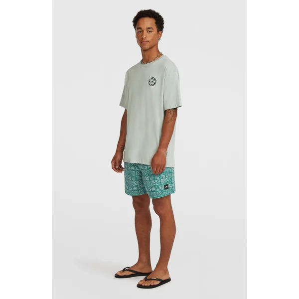 Short de bain O'Neill Print 16 | Blue Bricks