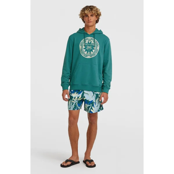 Short de bain O'Neill Print 16 | Blue Tropicana Big