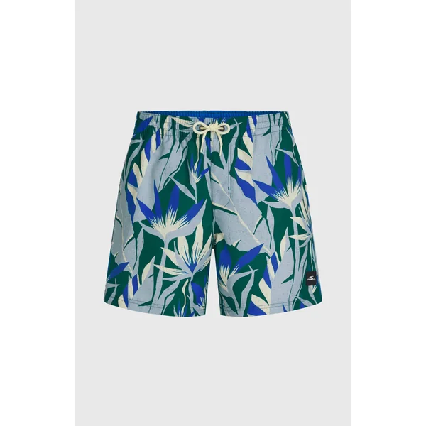 Short de bain O'Neill Print 16 | Blue Tropicana Big