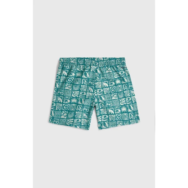 Short de bain O'Neill Print | Blue Bricks