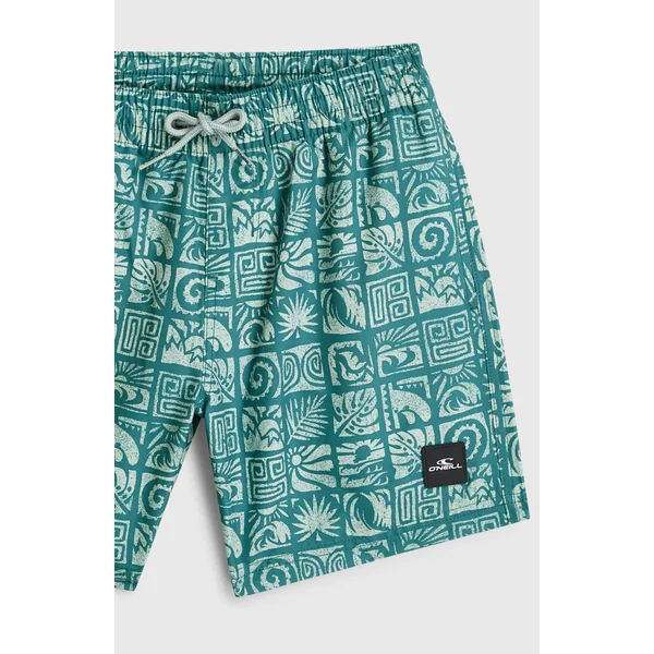 Short de bain O'Neill Print | Blue Bricks
