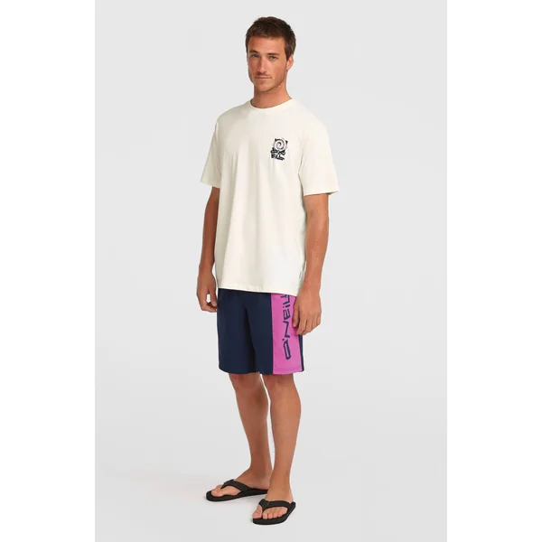 Short de bain O'Neill Retro 19'' | English Evening Colour Block