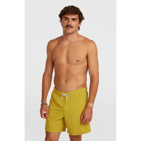 Short de bain O'Neill Vert 16'' | Angel Fern