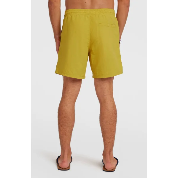 Short de bain O'Neill Vert 16'' | Angel Fern