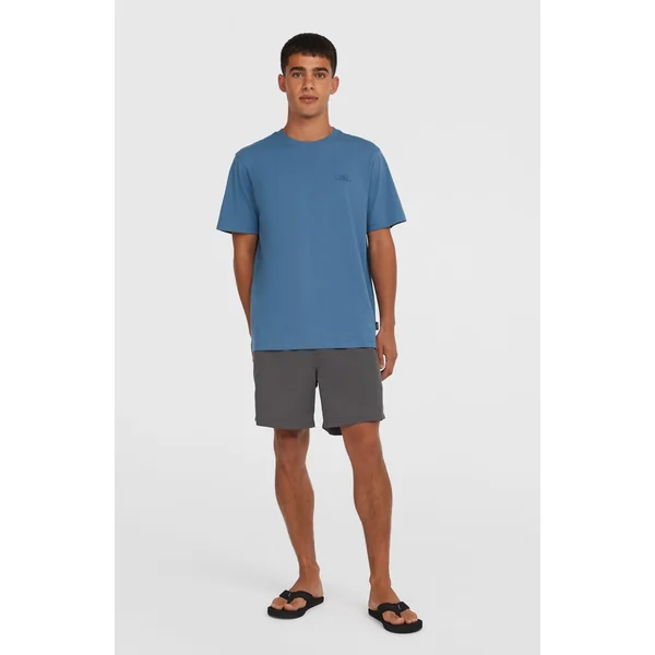 Short de bain O'Neill Vert 16'' | Asphalt