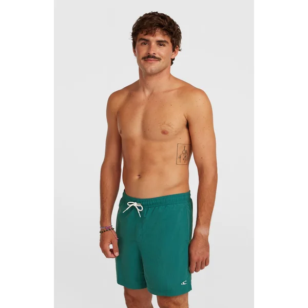 Short de bain O'Neill Vert 16'' | Botanical Heat