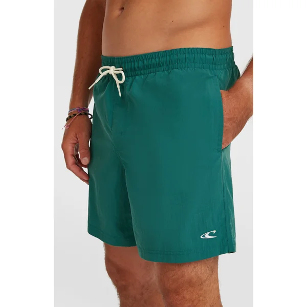 Short de bain O'Neill Vert 16'' | Botanical Heat