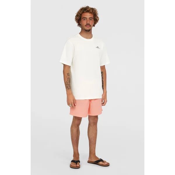 Short de bain O'Neill Vert 16'' | Coral Pop