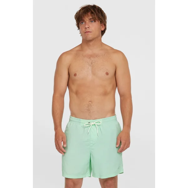 Short de bain O'Neill Vert 16'' | Mildrew Mint