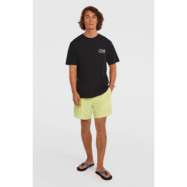 Short de bain O'Neill Vert 16'' | Rainforest Dew