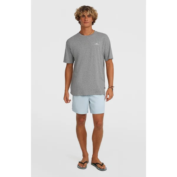 Short de bain O'Neill Vert 16'' | Spindle