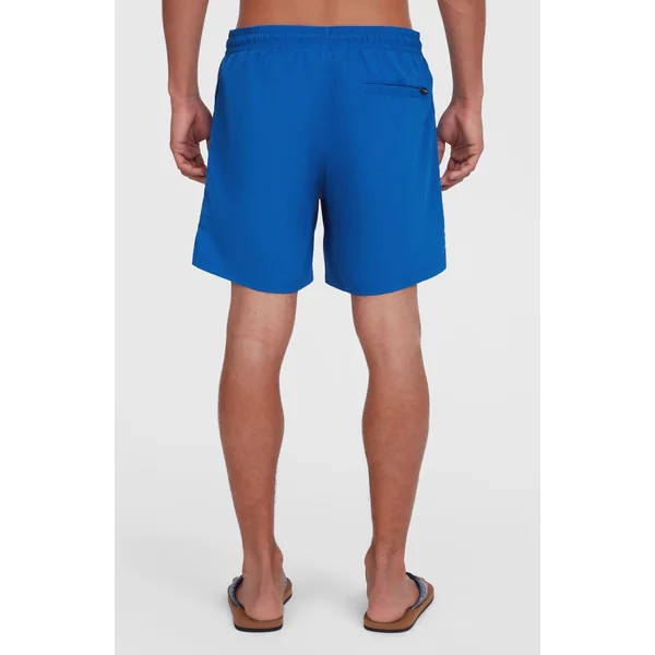 Short de bain O'Neill Vert 16'' | Victoria Blue