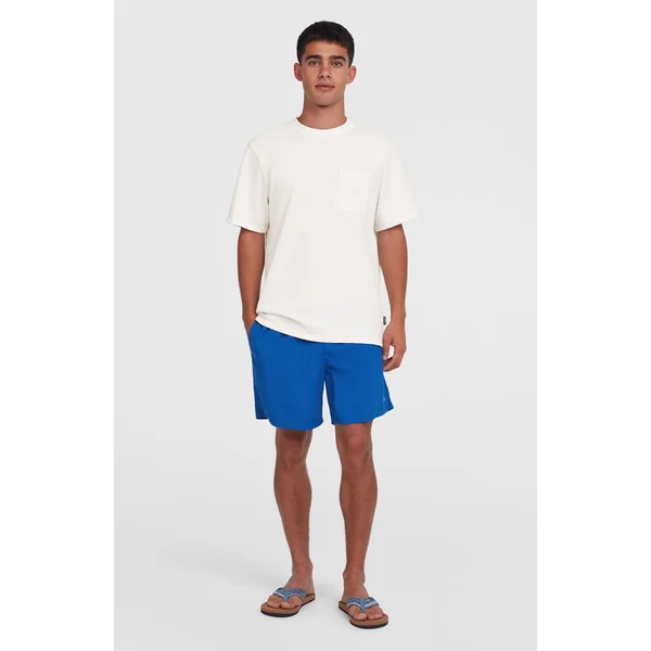 Short de bain O'Neill Vert 16'' | Victoria Blue
