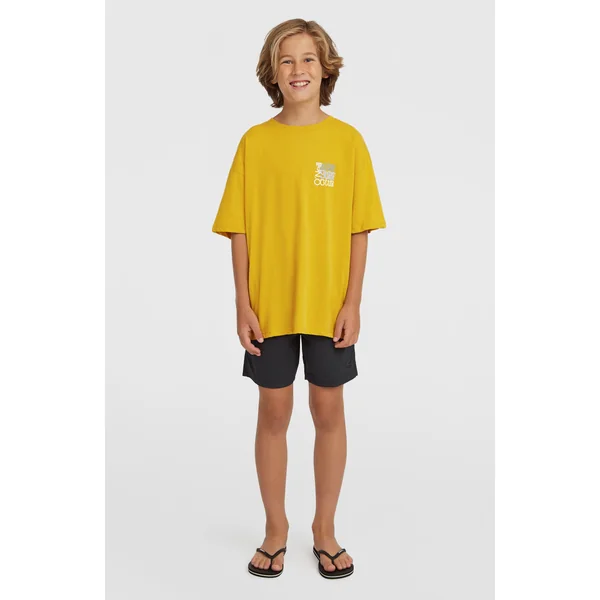 Short de bain O'Neill Vert | Black Out