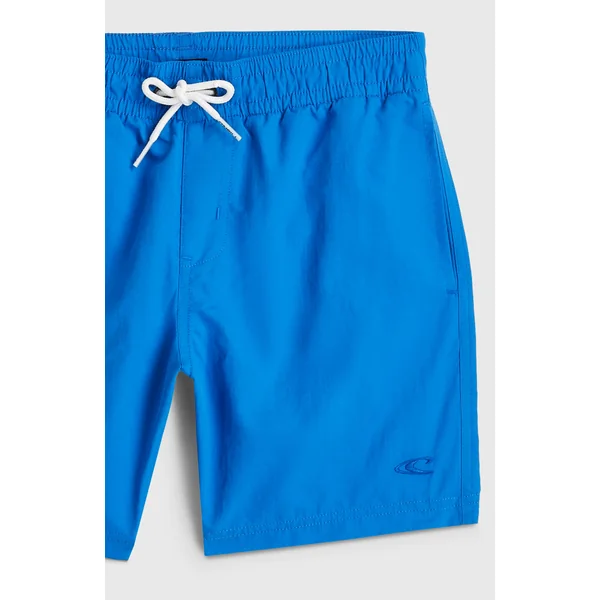 Short de bain O'Neill Vert | Mediterranean Blue
