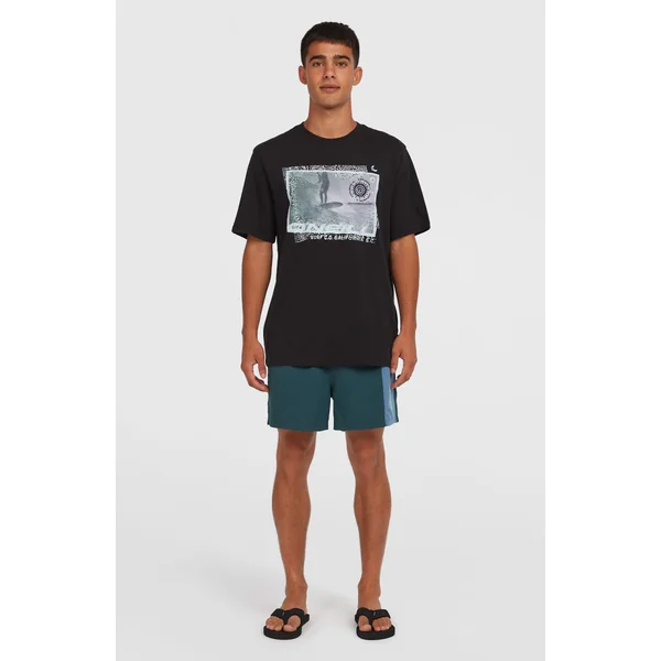 Short de bain Retro 14'' | Alma Steel Colour Block